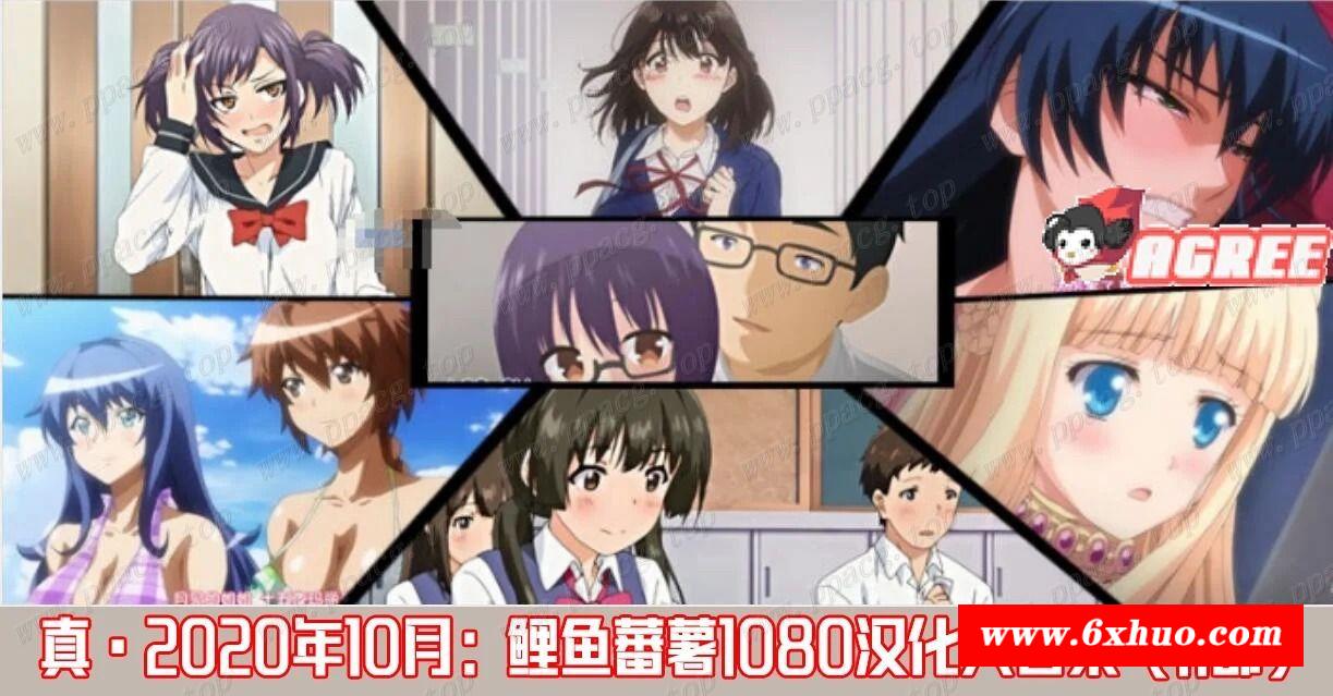 【2D/汉化/全动态】真·2020年10月鲤鱼番薯 1080HD汉化大合集 [桜都字幕组]【5G】-开心广场